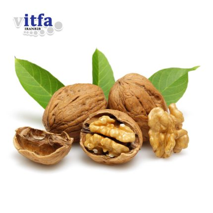 Walnut