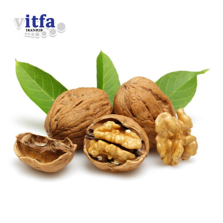 Walnut