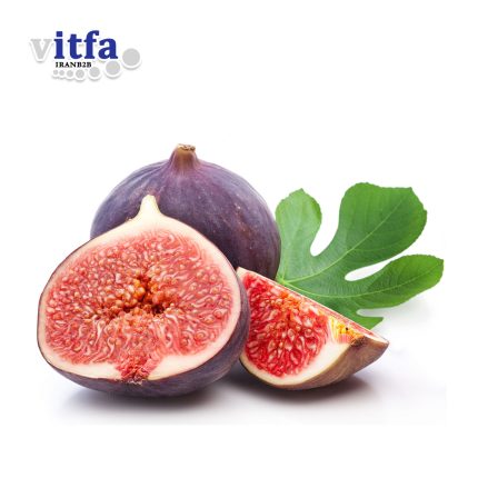 Fig