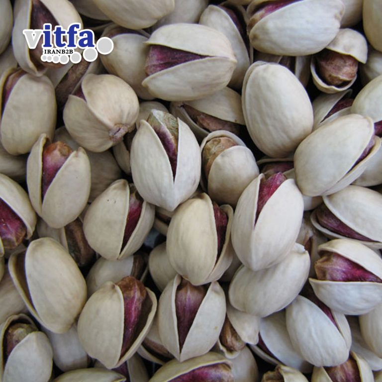 Jumbo (Kaleghuchi) Pistachio
