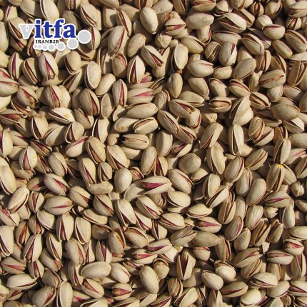 Long (Akbari) Pistachio