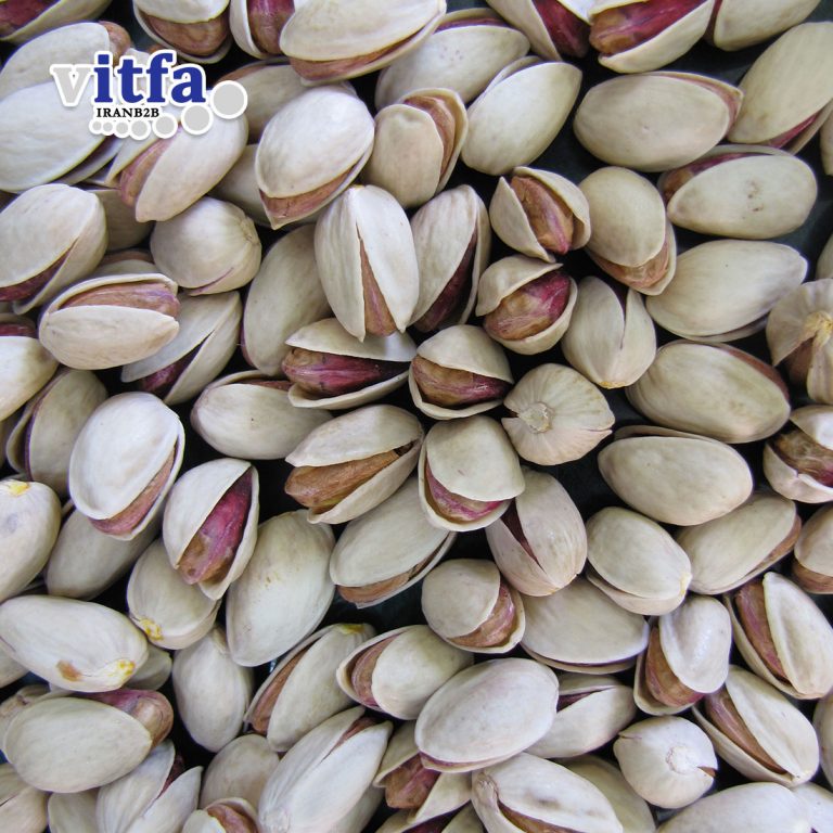 Long (Ahmad Aghaei) Pistachio