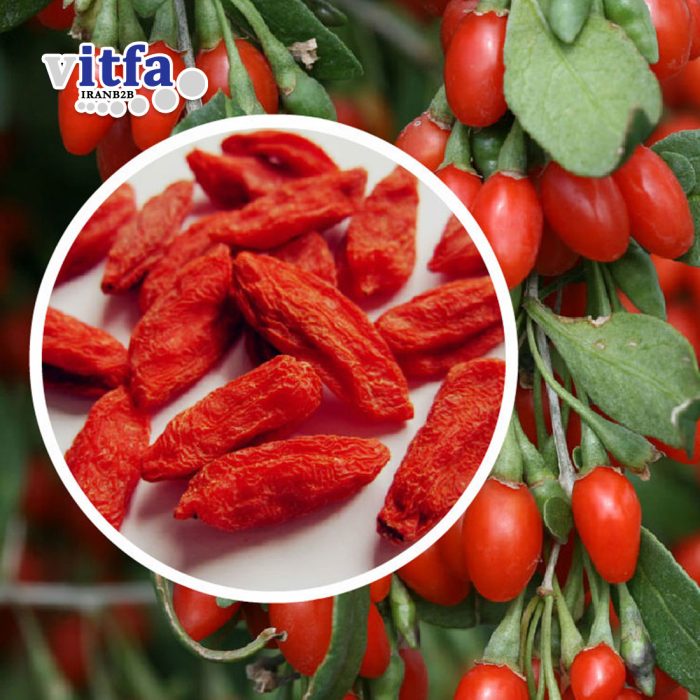 Goji Berry