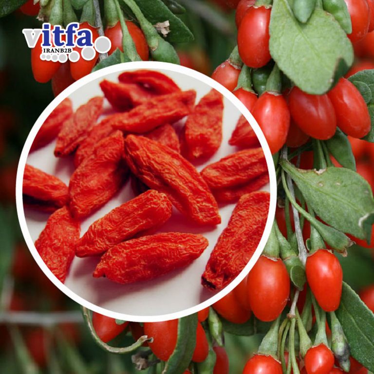 Goji Berry