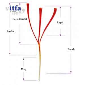 types-of-saffron