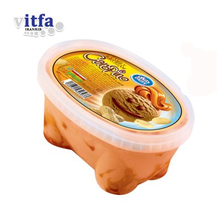 family-size-caramel-peanut-ice-cream