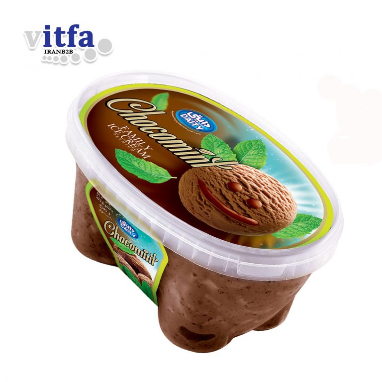 family-size-mint-chocolate-ice-cream