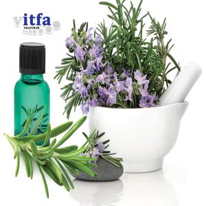 tarragon-essence