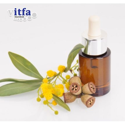 eucalyptus-extract
