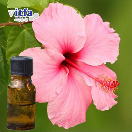 hollyhocks-extract
