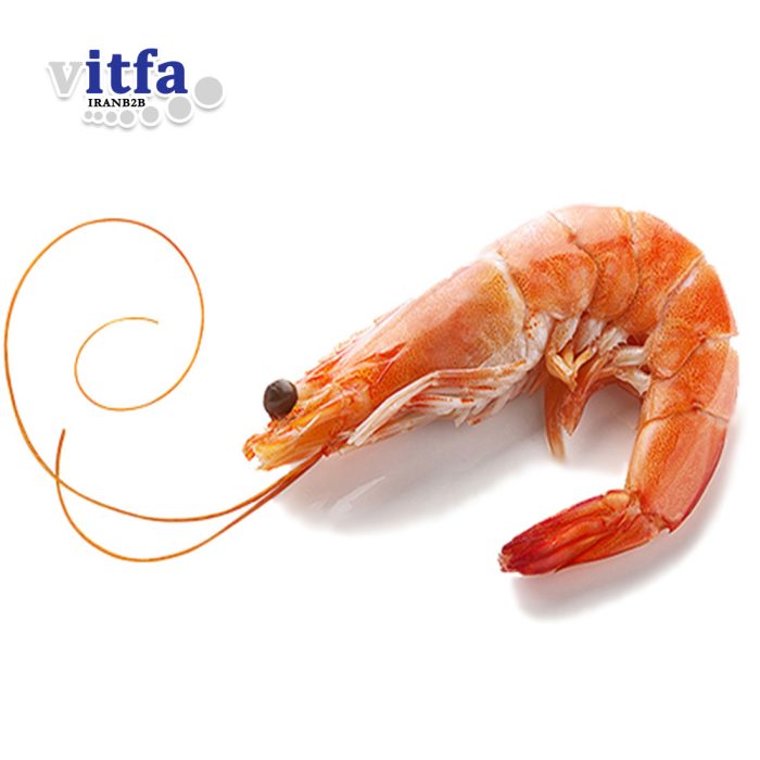 shrimp-hoso-precooked