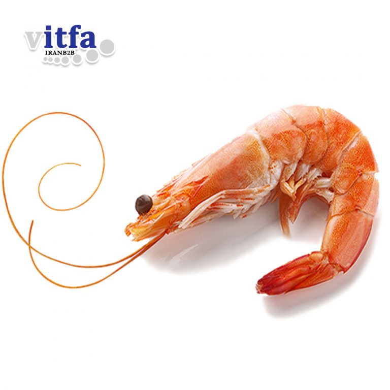 shrimp-hoso-precooked