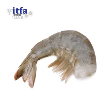 shrimp-hlso-head-less-shell-on