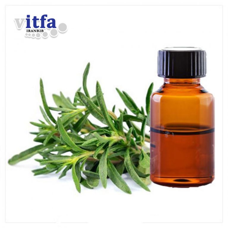 summer-savory-extract