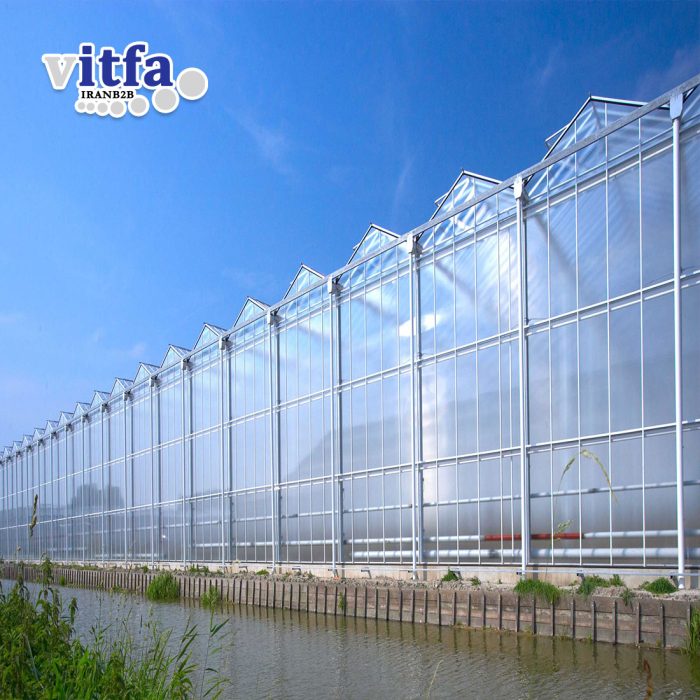 Greenhouse Film - Image 4