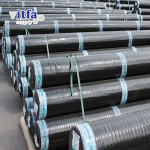 Geogrid-POLISET3