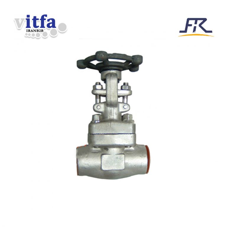 forged-stainless-steel-globe-valve-class-800-socket-welded