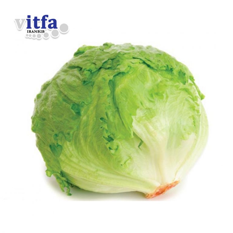 Lettuce