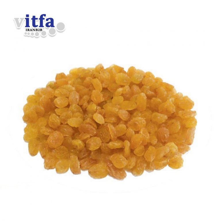 Raisins-(Dried-Grapes)