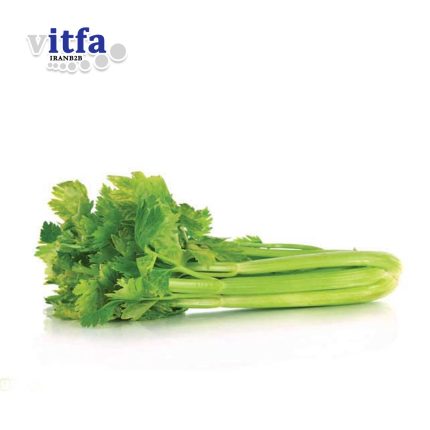 celery