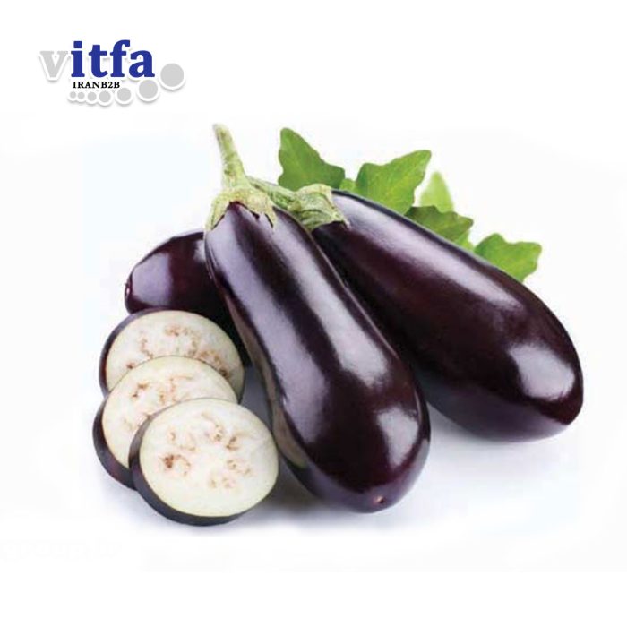 eggplant