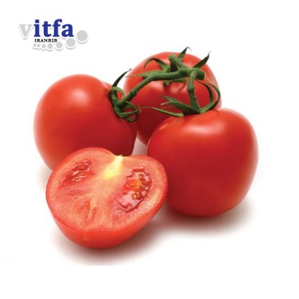 tomato