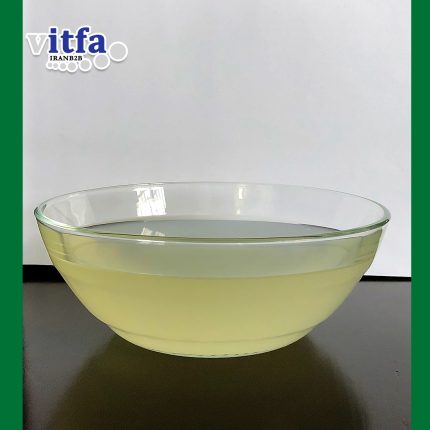 aloe vera3