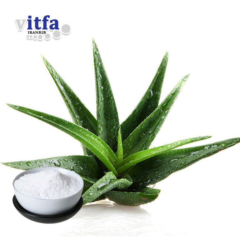 aloe-vera-gel-extract-powder-2001