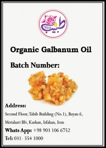 Galbanum Oil - Image 2