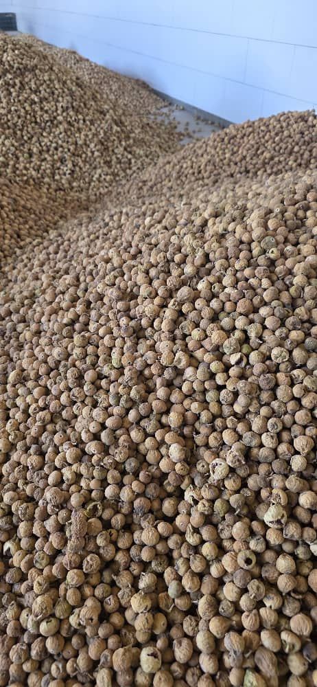 msg7252992-3189 premium iranian closed - mouth figs ! - Image 1