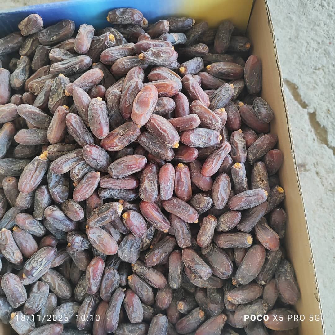 msg7252992-3199 rabbi dates