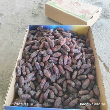 Premium Iranian Rabbi Dates – Naturally Sweet & Long-Lasting