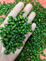 pistachio double skin kernel