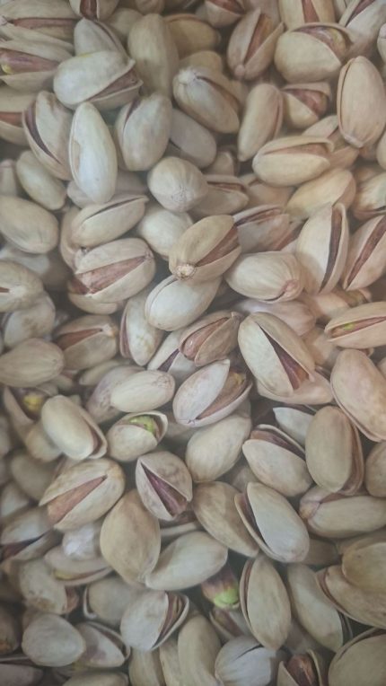 iranian pistachio pistachio
